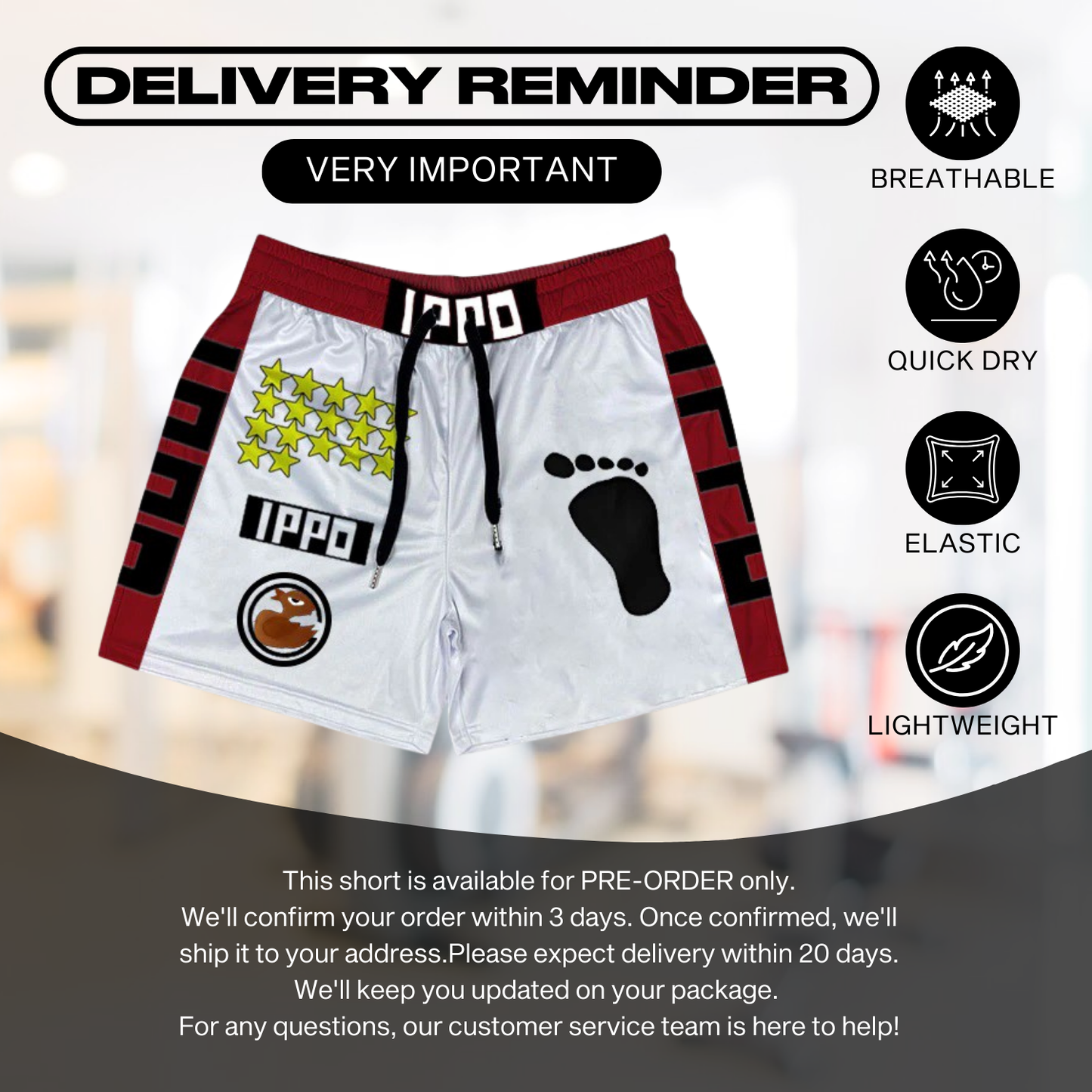 Pre-Order Anime Swim Trunks Multiple Designs